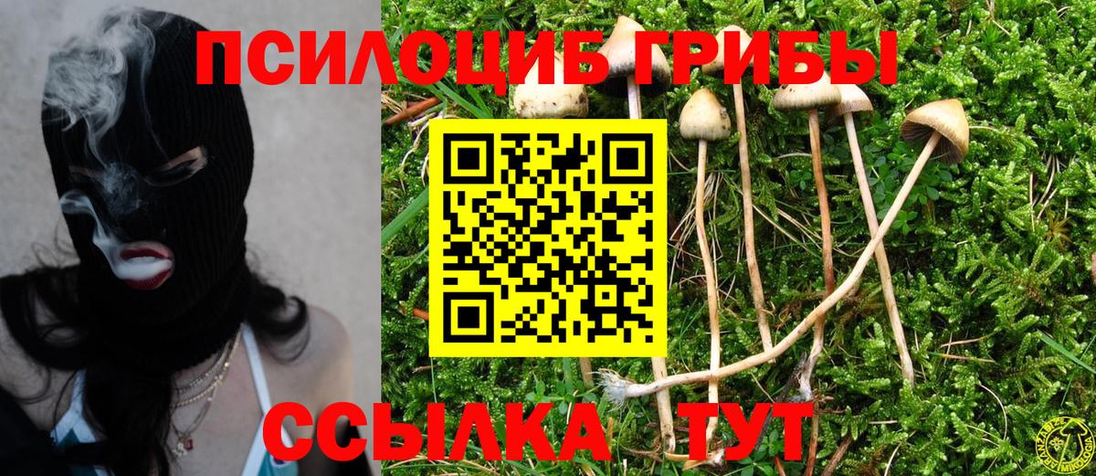 Егорьевск  Галлюциногенные грибы Cubensis  Галлюциногенные грибы прущие грибы  Вход с VPN 